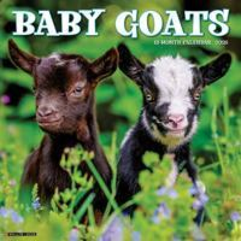 Baby Goats 2026 Wall Calendar