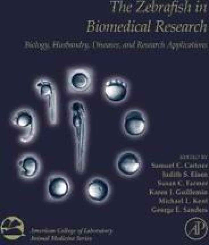 The Zebrafish in Biomedical Research