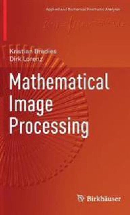 Mathematical Image Processing