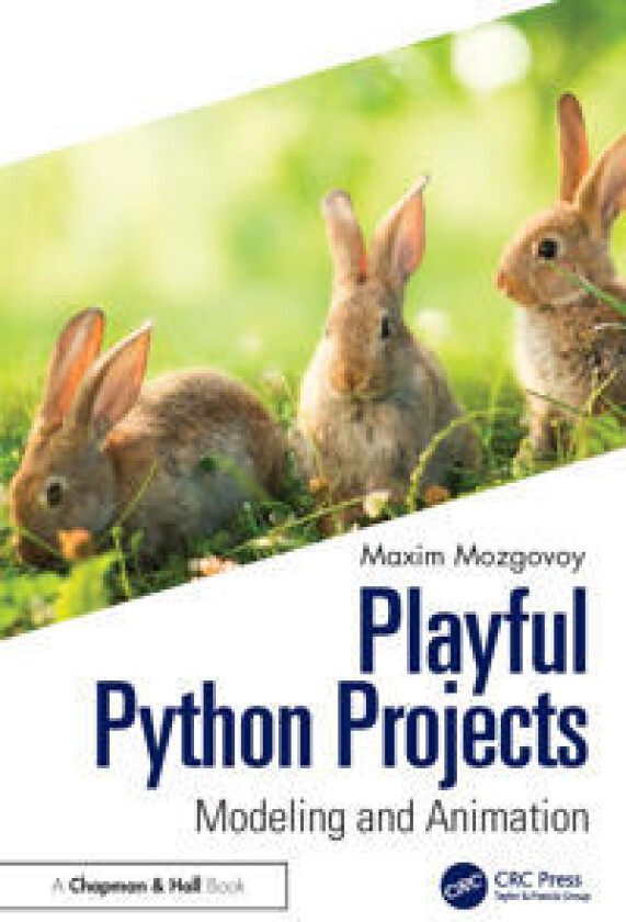 Playful Python Projects