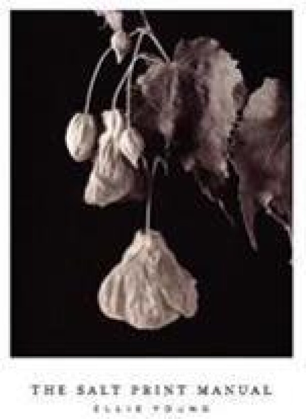 The Salt Print Manual