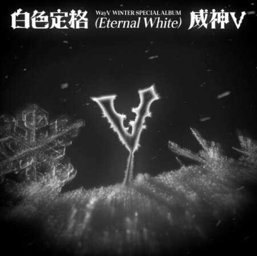 Winter Special Album Eternal White SMini Version