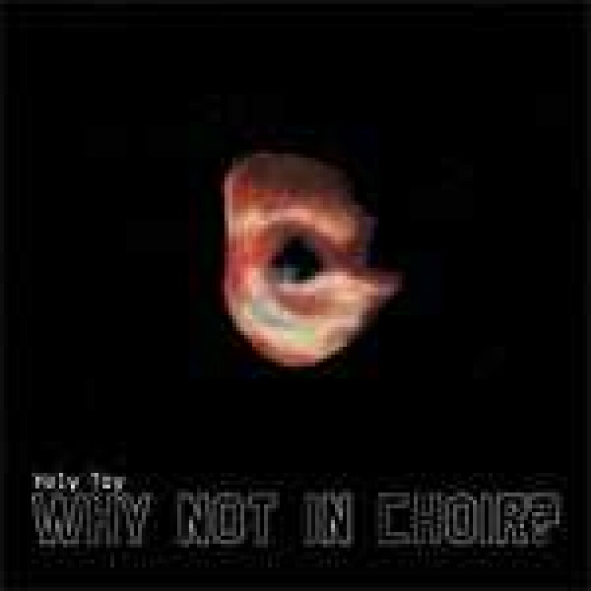 Holy Toy Why Not In Choir? CD