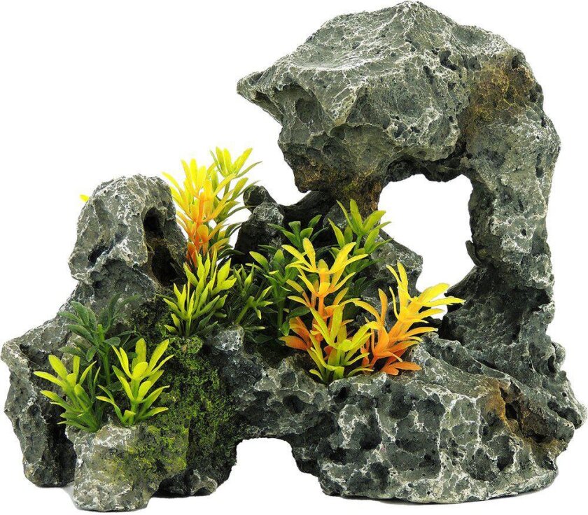 Bilde av Grey Rock With Plants 242x145x185mm