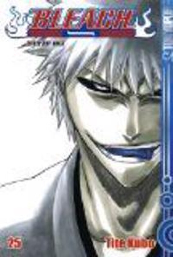 Bleach 25