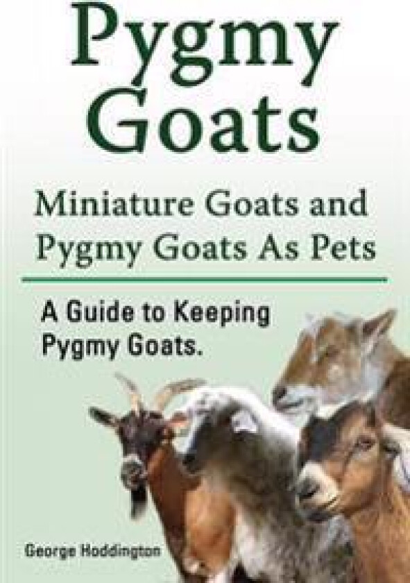 Pygmy Goats. Miniature Goats and Pygmy Goats As Pets. A Guide to Keeping Pygmy Goats.