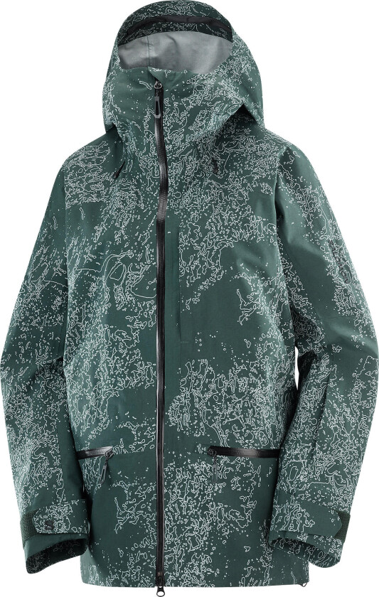 Women's Absolute 3L Print Jacket Ao/Green Gables