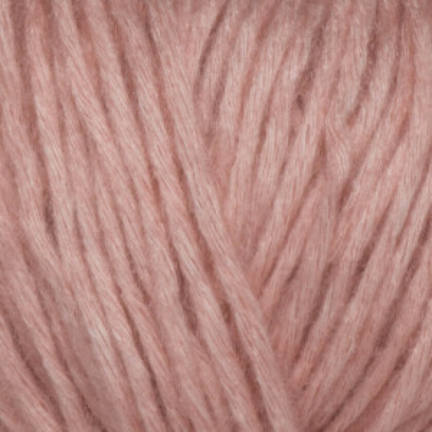 Daisy Garn 15 Pulver