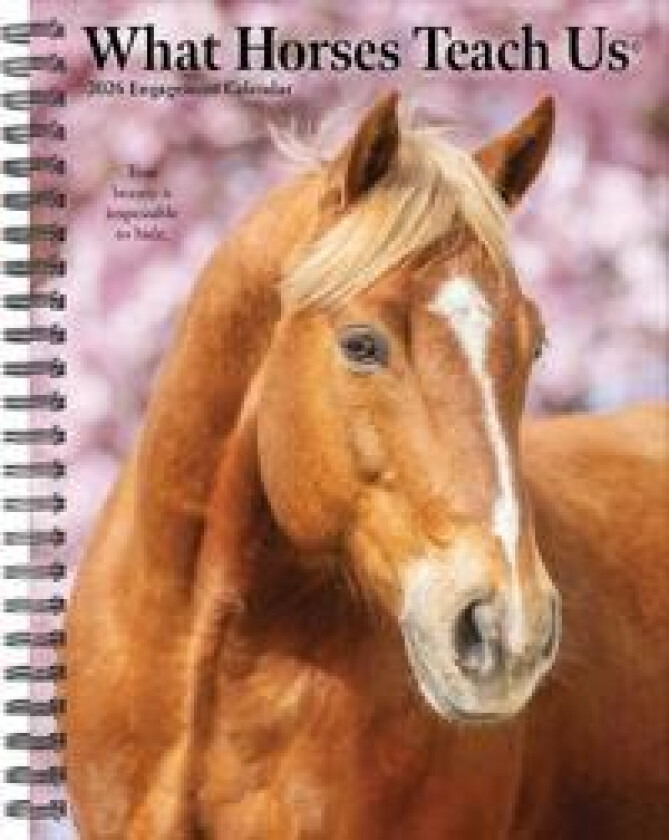 What Horses Teach Us 2026 Engagement Calendar