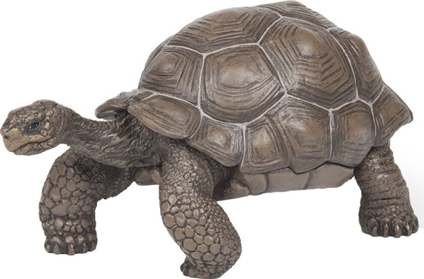 Elefantskilpadde - H: 5 cm - - OneSize - Lekedyr