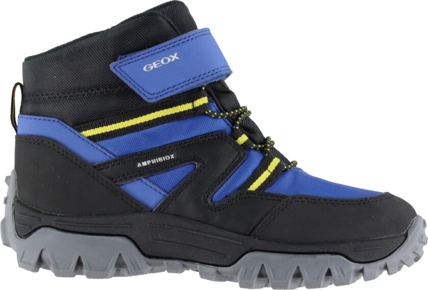 Vintersko - Himalaya - Royal/Svart - - 31 - Vinterstøvler