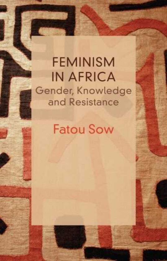 Feminism in Africa Gender, Knowledge and Resistance