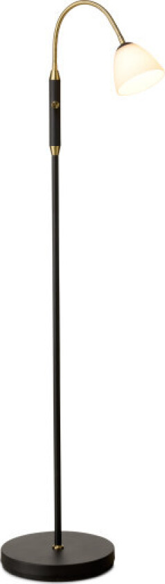 Lucid gulvlampe, 1 arm