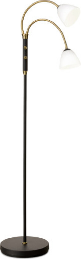 Lucid gulvlampe, 2 armer