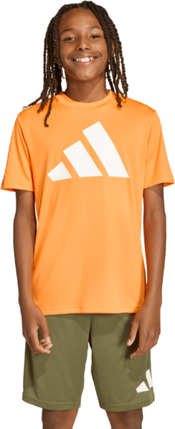 Training Essential BL SS Tee