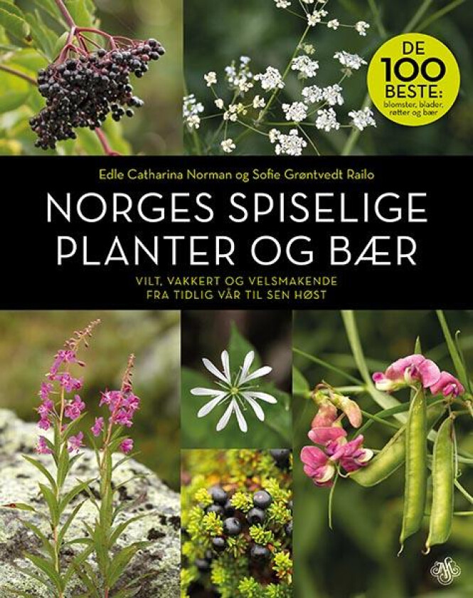 Norges spiselige planter og bær av Edle Catharina Norman, Sofie Grøntvedt Railo