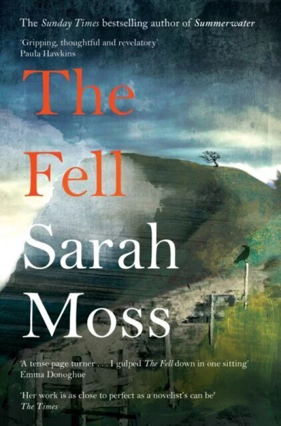 The Fell av Sarah Moss