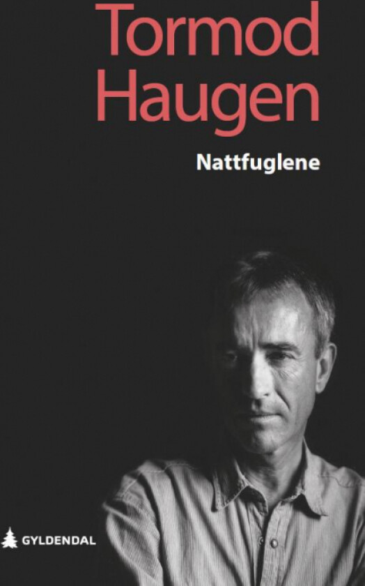 Nattfuglene av Tormod Haugen