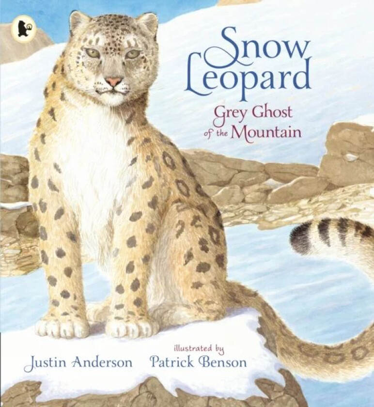 Snow Leopard: Grey Ghost of the Mountain av Justin Anderson