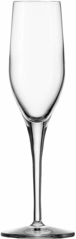 Champagneglass - 17 Cl Stölzle (6stk)