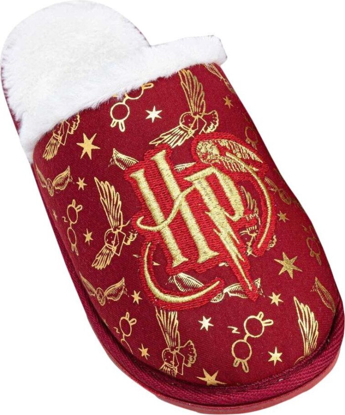 Harry Potter Girls Embroidered Slippers