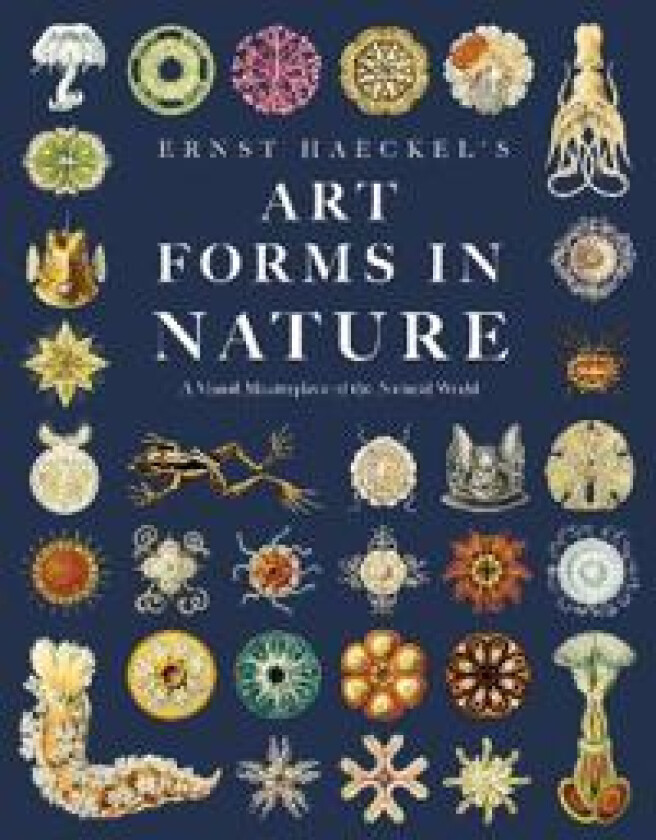 Ernst Haeckel's Art Forms in Nature