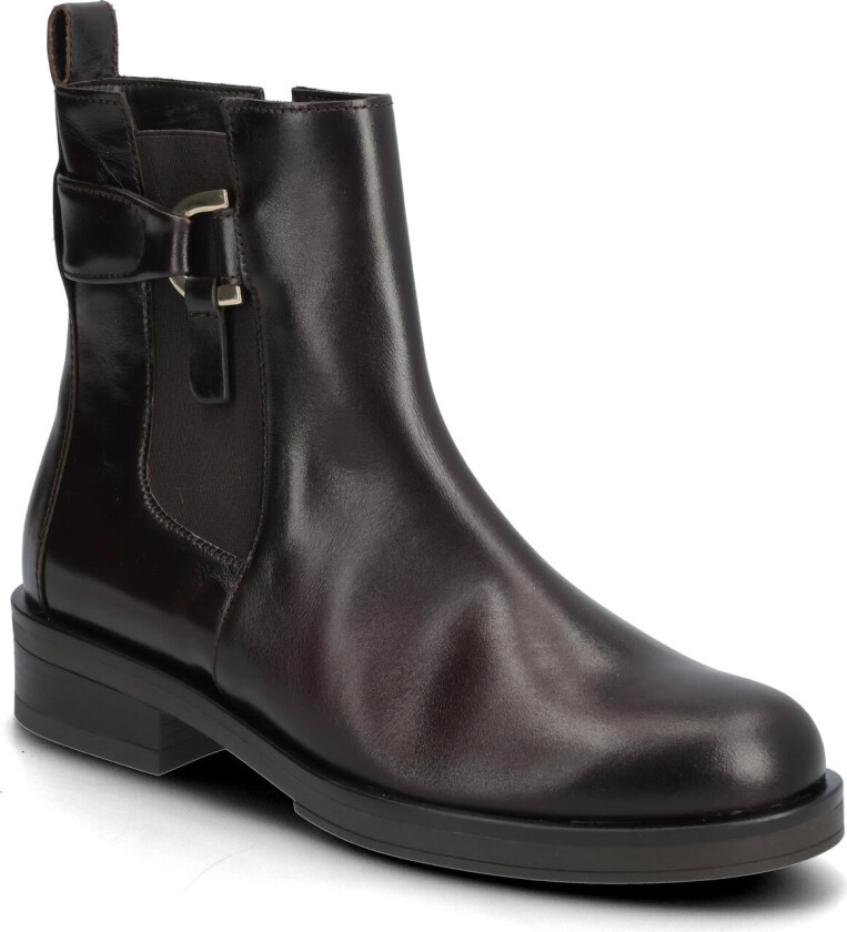 Chelsea - Brown - 43