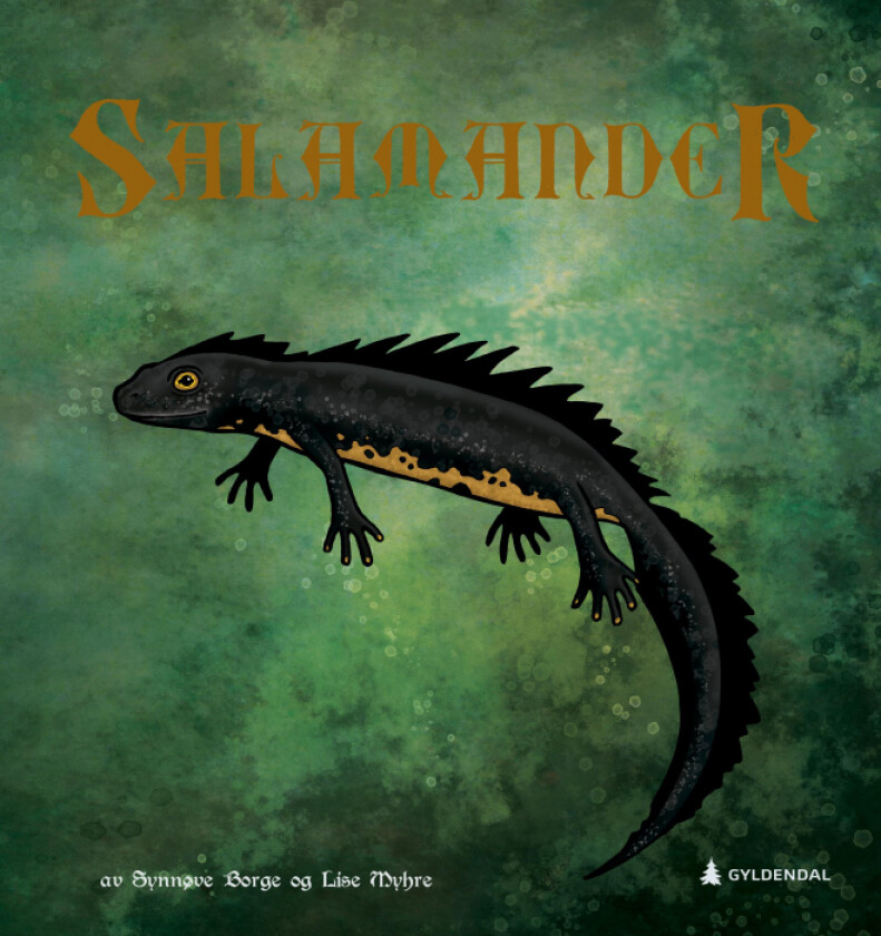 Salamander av Synnøve Borge