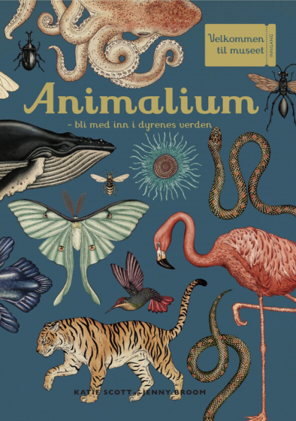 Animalium av Jenny Broom, Katie Scott
