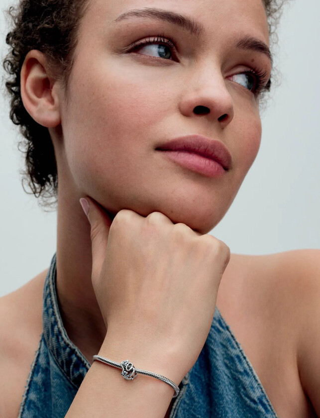 Elephant Sterling Silver Charm With Clear Cubic Zirconia - Silver - ONE SIZE