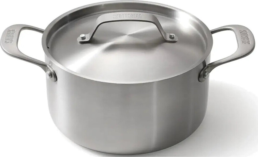 Cooking Pot With Lid 20 ® - Silver - XXX