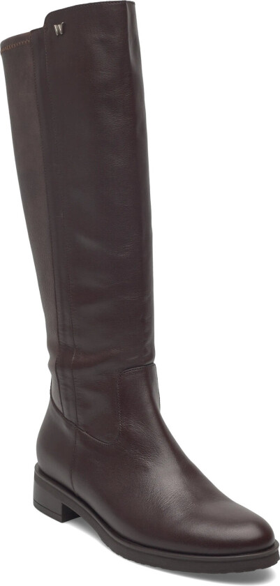 Codigree 00 - Brown - 35