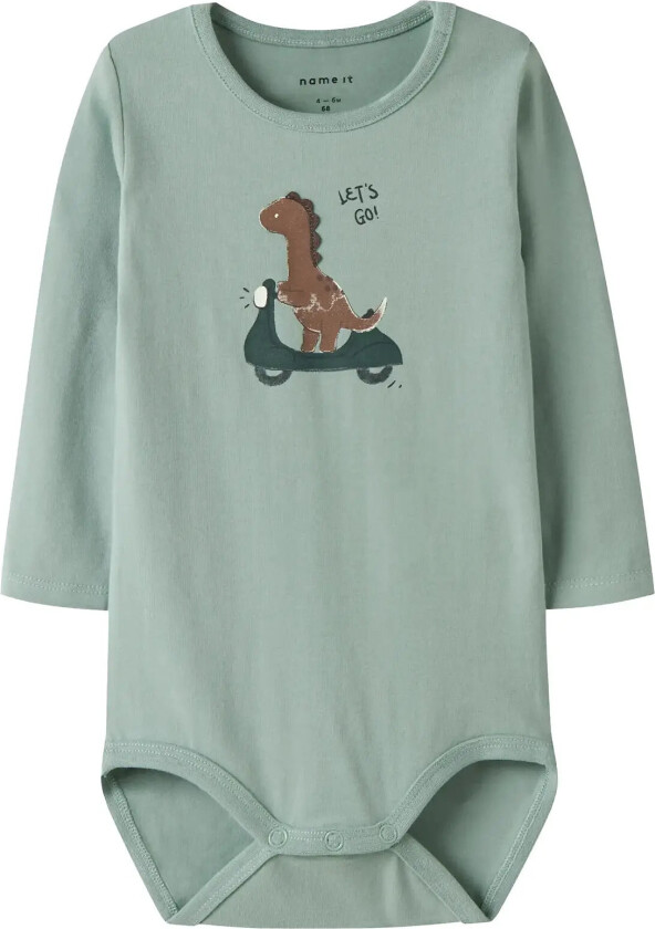 Nbmnuts Ls Body Box - Green - 68