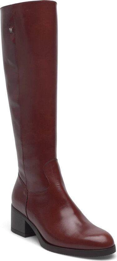 Santafé 51 - Brown - 40