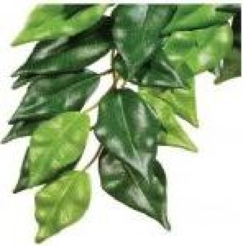 Kunstig plante - Silk Ficus, L