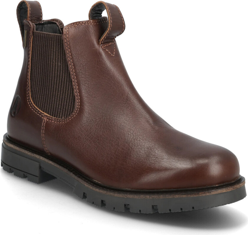 Treviso Wp - Brown - 44