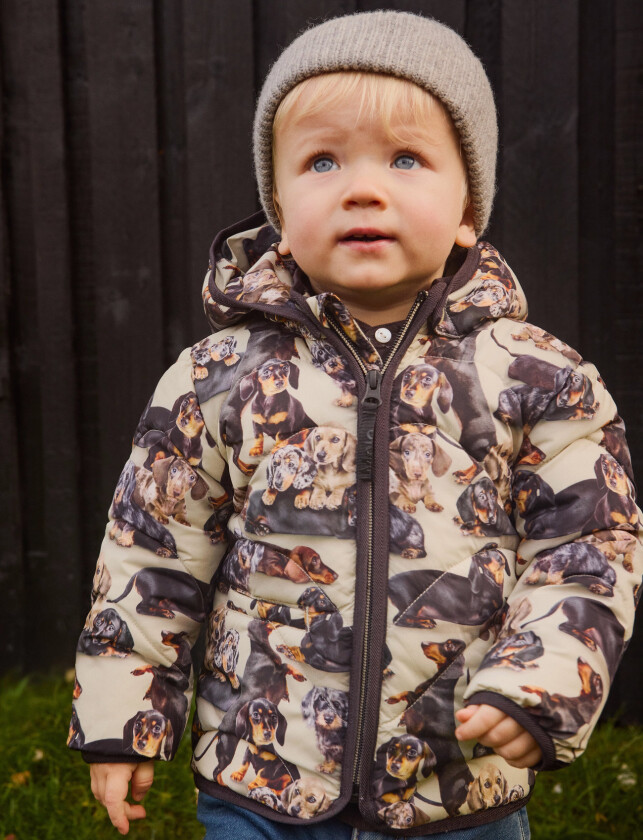 Harmony - Beige - 80