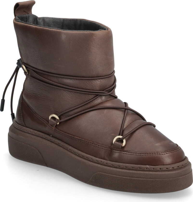 Isolde C - Brown - 37