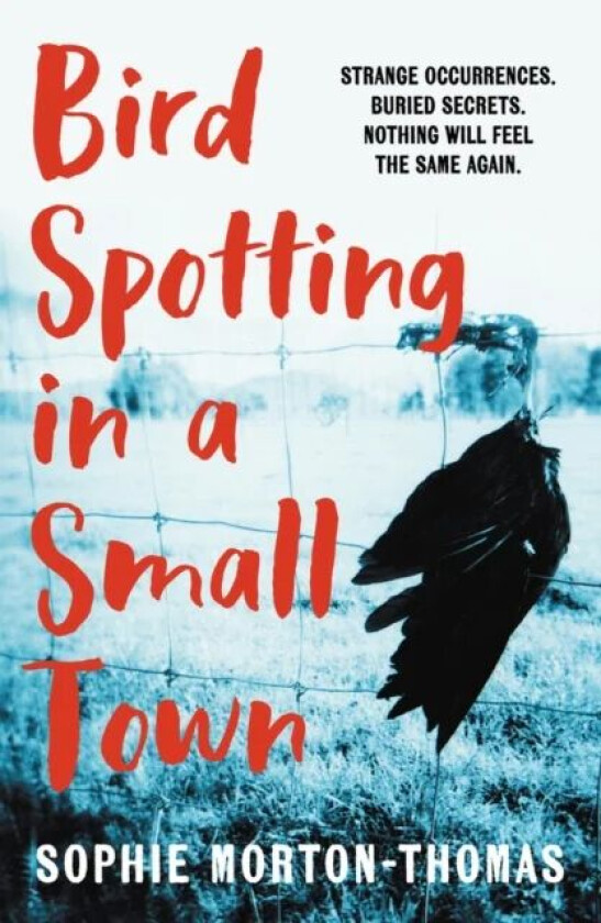 Bird Spotting in a Small Town av Sophie Morton-Thomas