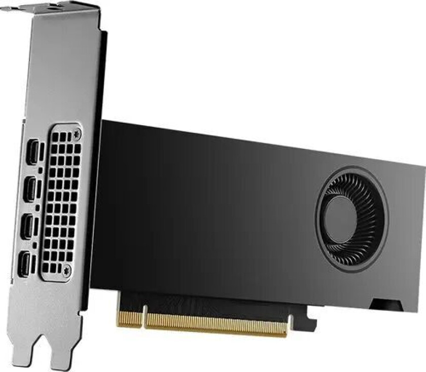 RTX 2000 Ada - 16GB GDDR6 RAM - Grafikkort
