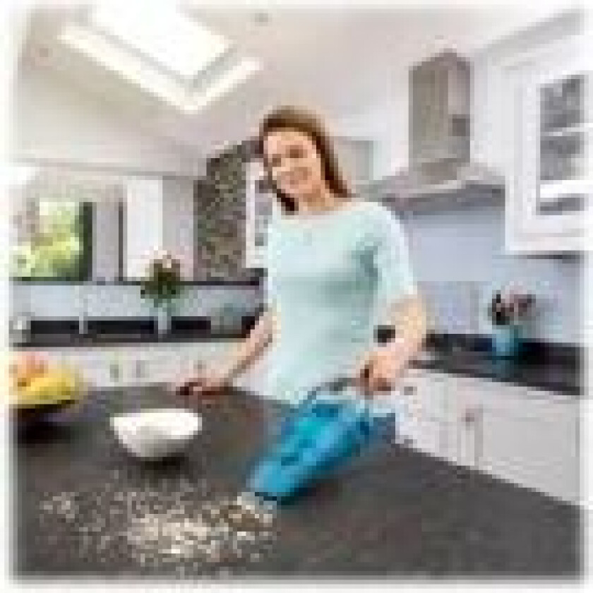 DustBuster WDC215WA - Støvsuger - håndholdt - uten pose - uten kabel - blå/titan