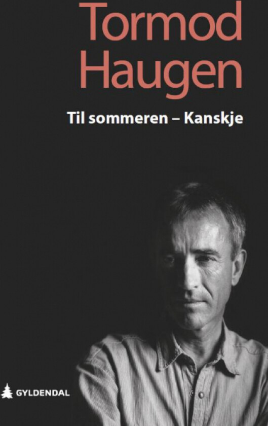 Til sommeren - kanskje av Tormod Haugen