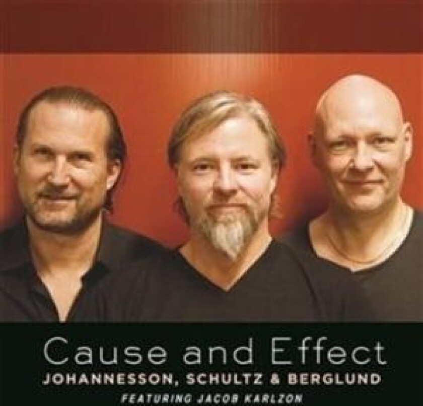 Johannesson Schultz Berglund Karlzo - Cause And Effect