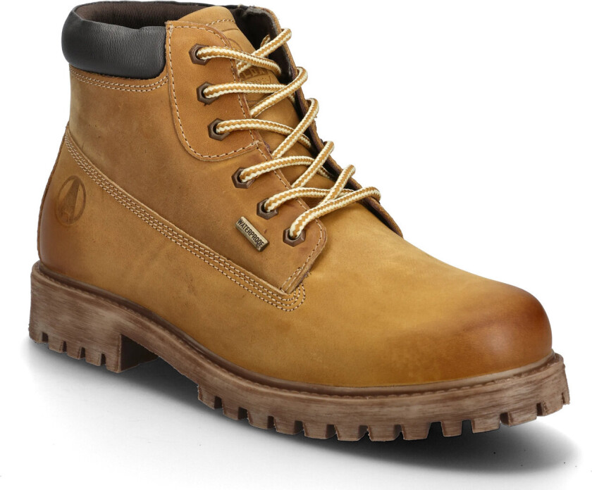 Parma Wp - Brown - 40