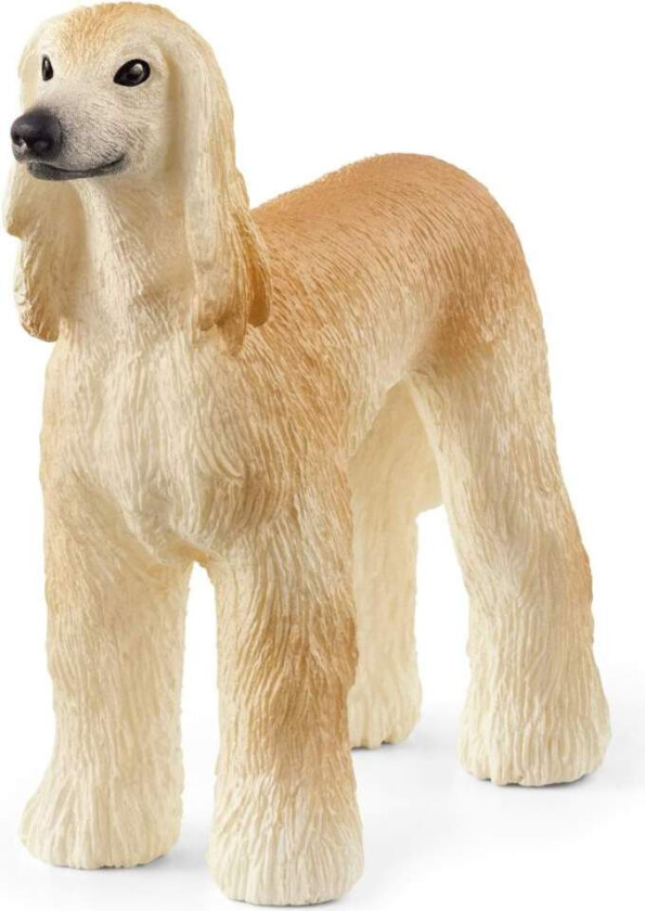 Farm World Greyhound