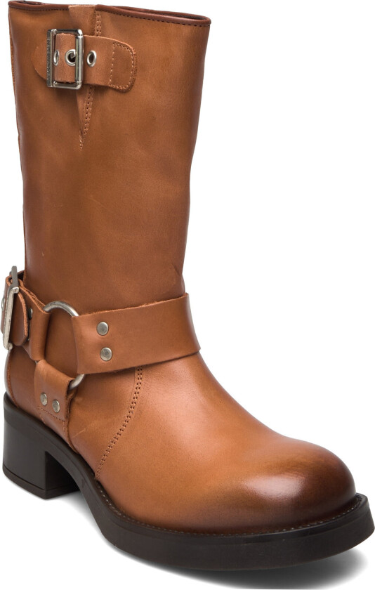 Blessing - Brown - 40