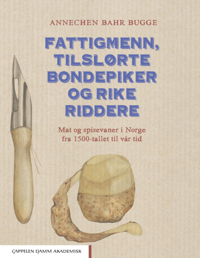 Fattigmenn, tilslørte bondepiker og rike riddere av Annechen Bahr Bugge