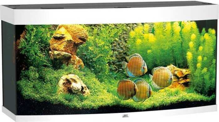 Bilde av Juwel Buet Akvarium LED Vision 260 121x46x64cm - Hvit