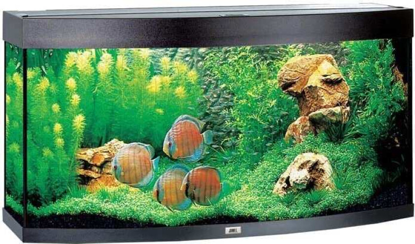 Bilde av Juwel Buet Akvarium LED Vision 260 121x46x64cm - Svart X