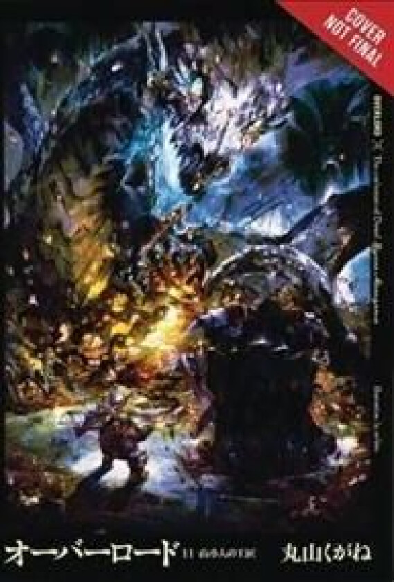 Overlord, Vol. 11 (light novel)